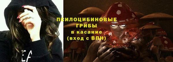 соль ск Алзамай