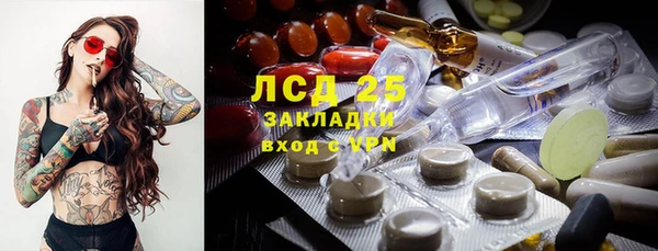 соль ск Алзамай
