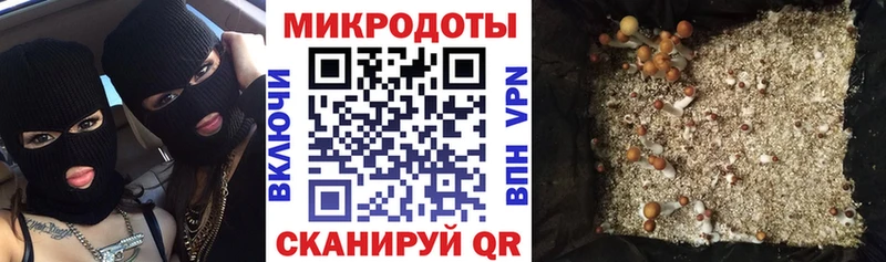 как найти наркотики  Сельцо  blacksprut зеркало  Псилоцибиновые грибы GOLDEN TEACHER 